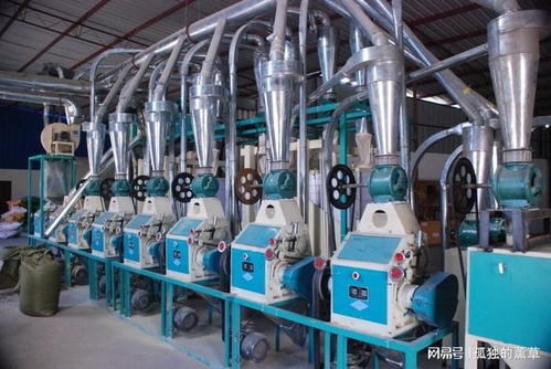 2025年11月面粉機(jī)廠家推薦 產(chǎn)能、專利與環(huán)保三維數(shù)據(jù)透視